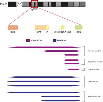 Deepening the understanding of CNVs on chromosome 15q11–13 by using hiPSCs: An overview